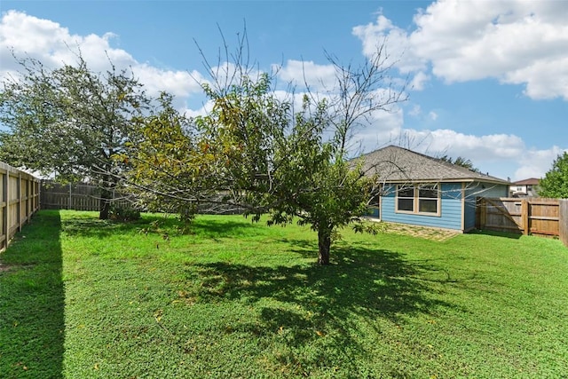 203 Teron Dr, San Marcos, TX 78666 - photo 36