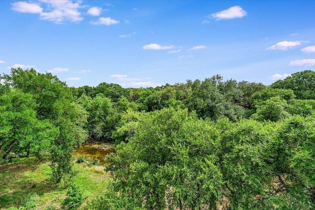 2615 Pembrook Trl, Austin, TX 78731 - photo 35