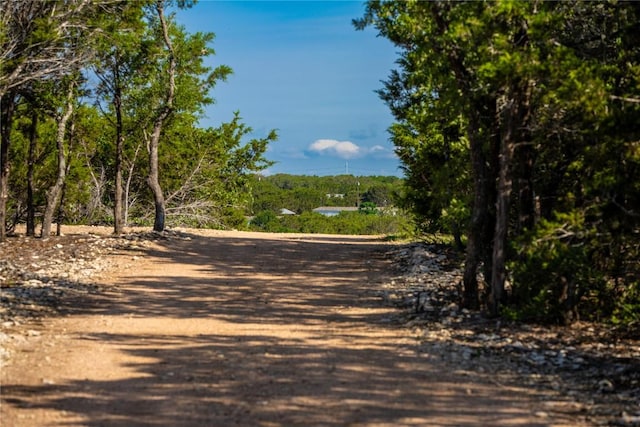 444 Flying B Ranch Rd, Bertram, TX 78605 - photo 22