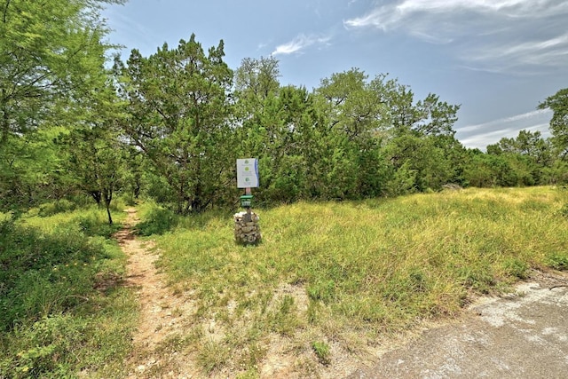 2215 Stonehaven, San Marcos, TX 78666 - photo 34