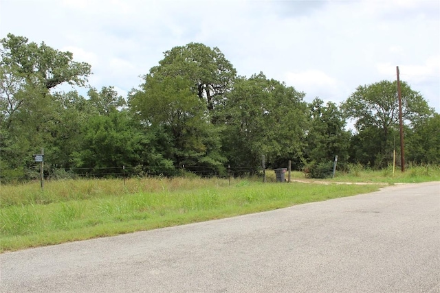 332 Thousand Oaks Dr, Cedar Creek, TX 78612 - photo 22