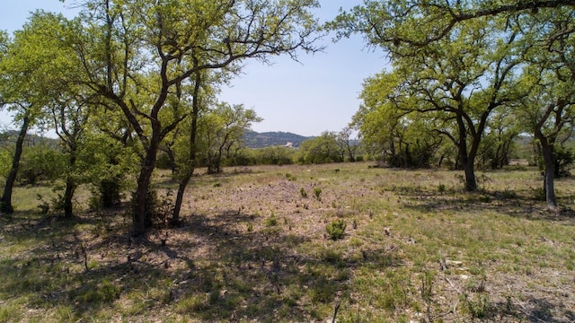 101 Bluff Ridge Trl, Blanco, TX 78606 - photo 1