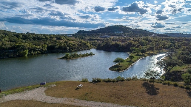 101 Bluff Ridge Trl, Blanco, TX 78606 - photo 5