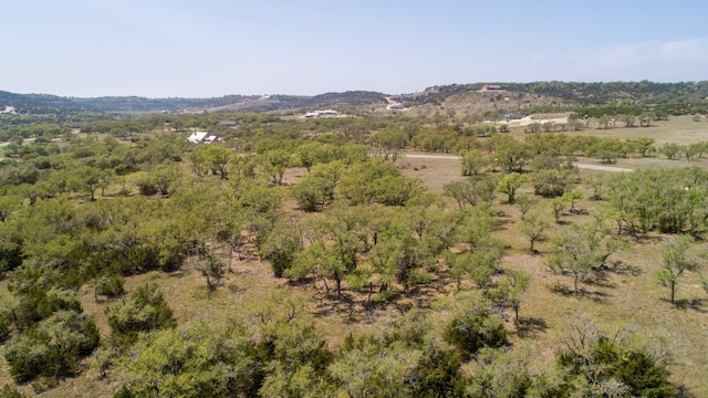 101 Bluff Ridge Trl, Blanco, TX 78606 - photo 6