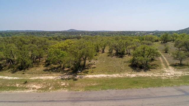 101 Bluff Ridge Trl, Blanco, TX 78606 - photo 11