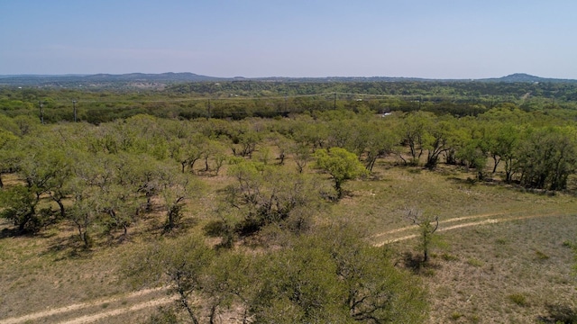 101 Bluff Ridge Trl, Blanco, TX 78606 - photo 12