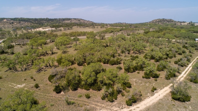 101 Bluff Ridge Trl, Blanco, TX 78606 - photo 14