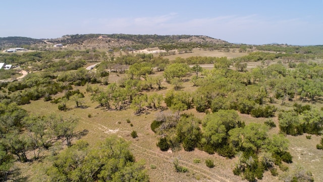 101 Bluff Ridge Trl, Blanco, TX 78606 - photo 15