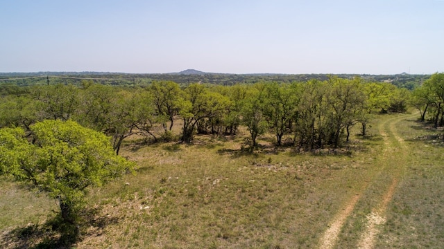 101 Bluff Ridge Trl, Blanco, TX 78606 - photo 17