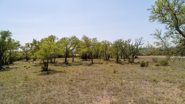 101 Bluff Ridge Trl, Blanco, TX 78606 - photo 18
