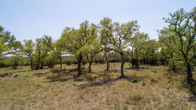 101 Bluff Ridge Trl, Blanco, TX 78606 - photo 19