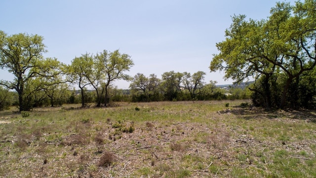 101 Bluff Ridge Trl, Blanco, TX 78606 - photo 20
