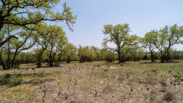 101 Bluff Ridge Trl, Blanco, TX 78606 - photo 21