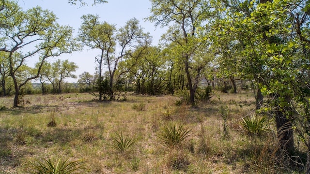 101 Bluff Ridge Trl, Blanco, TX 78606 - photo 24