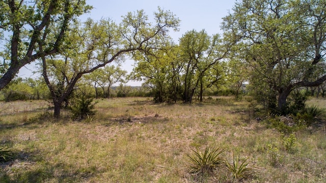 101 Bluff Ridge Trl, Blanco, TX 78606 - photo 25