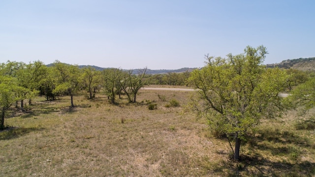 101 Bluff Ridge Trl, Blanco, TX 78606 - photo 27