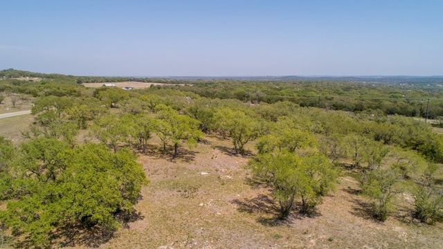 101 Bluff Ridge Trl, Blanco, TX 78606 - photo 28