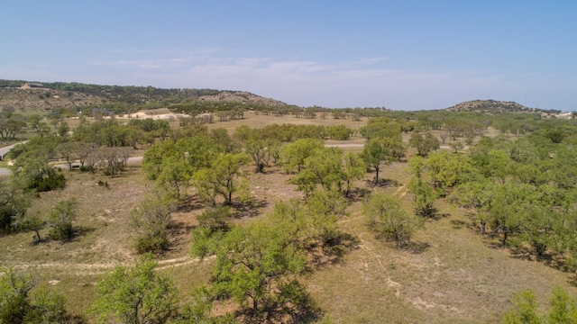 101 Bluff Ridge Trl, Blanco, TX 78606 - photo 29