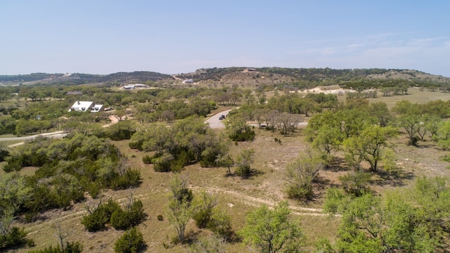 101 Bluff Ridge Trl, Blanco, TX 78606 - photo 30