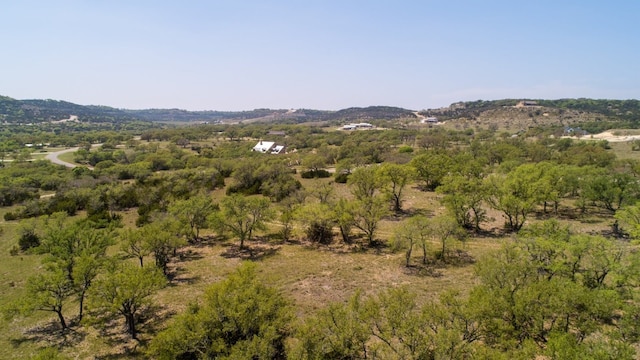 101 Bluff Ridge Trl, Blanco, TX 78606 - photo 31