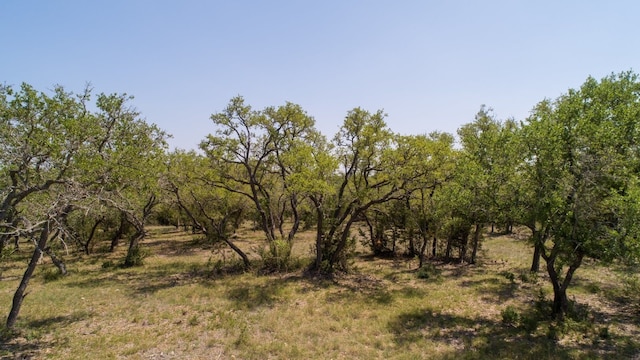 101 Bluff Ridge Trl, Blanco, TX 78606 - photo 32