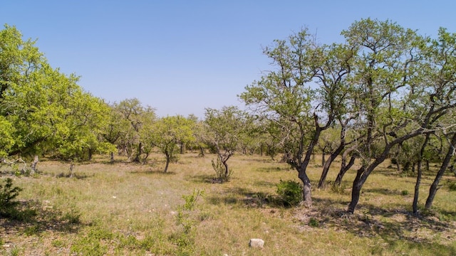 101 Bluff Ridge Trl, Blanco, TX 78606 - photo 33
