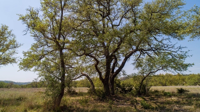 101 Bluff Ridge Trl, Blanco, TX 78606 - photo 34