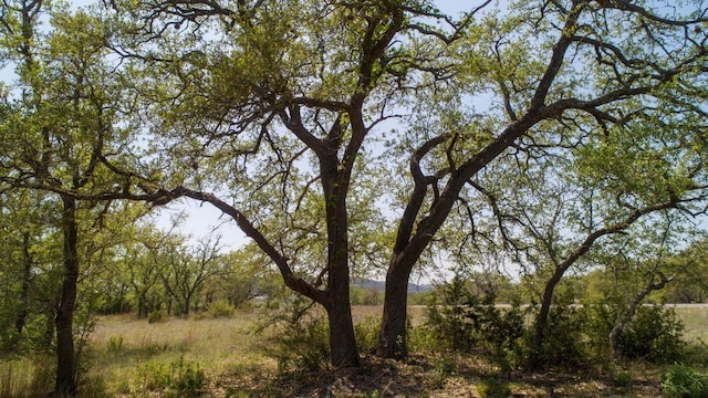 101 Bluff Ridge Trl, Blanco, TX 78606 - photo 35