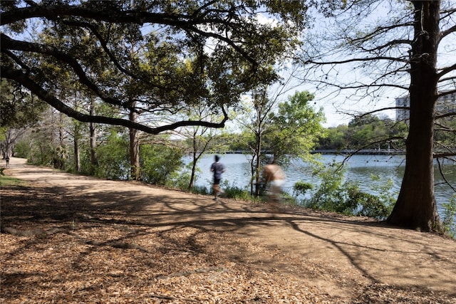 49 Navasota St Unit 202, Austin, TX 78702 - photo 14