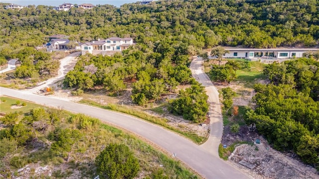 9408 Ranchland Hills Blvd, Jonestown, TX 78645 - photo 5