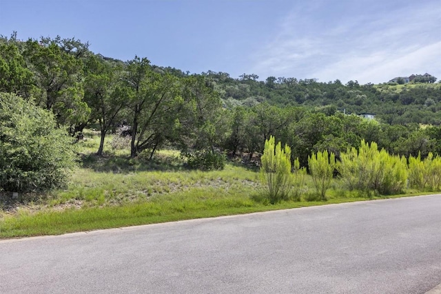 9408 Ranchland Hills Blvd, Jonestown, TX 78645 - photo 6