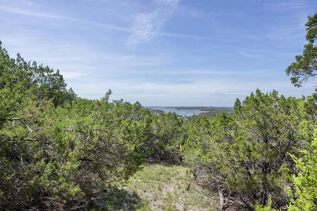 9408 Ranchland Hills Blvd, Jonestown, TX 78645 - photo 13