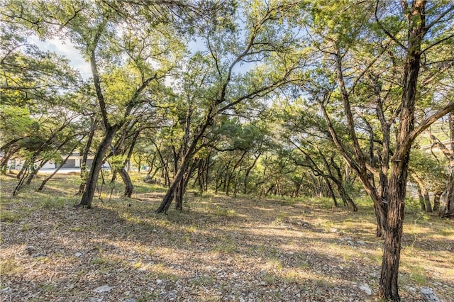 9408 Ranchland Hills Blvd, Jonestown, TX 78645 - photo 17