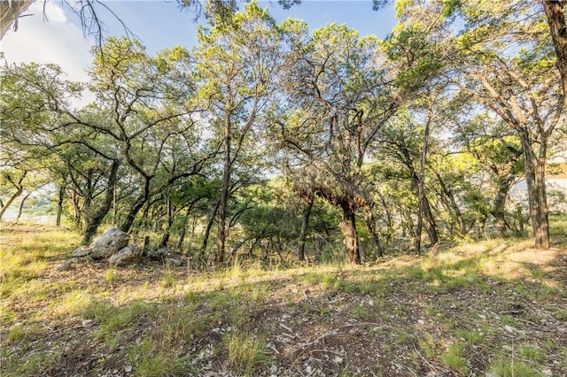 9408 Ranchland Hills Blvd, Jonestown, TX 78645 - photo 18