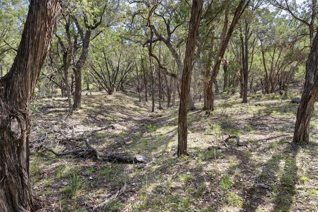 9408 Ranchland Hills Blvd, Jonestown, TX 78645 - photo 22