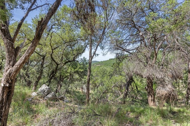 9408 Ranchland Hills Blvd, Jonestown, TX 78645 - photo 23
