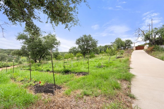1502 Pace Bend Rd S, Spicewood, TX 78669 - photo 33