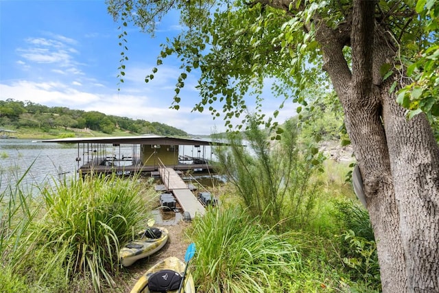 1502 Pace Bend Rd S, Spicewood, TX 78669 - photo 4
