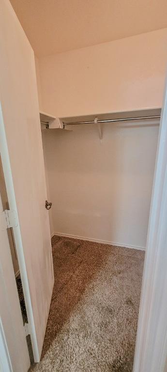 4820 Woodstock Dr, Georgetown, TX 78633 - photo 13