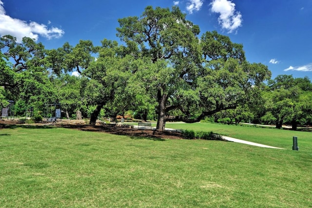 1903 40th St, Austin, TX 78731 - photo 28