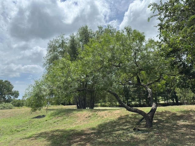 968 Red Town Rd, Elgin, TX 78621 - photo 30