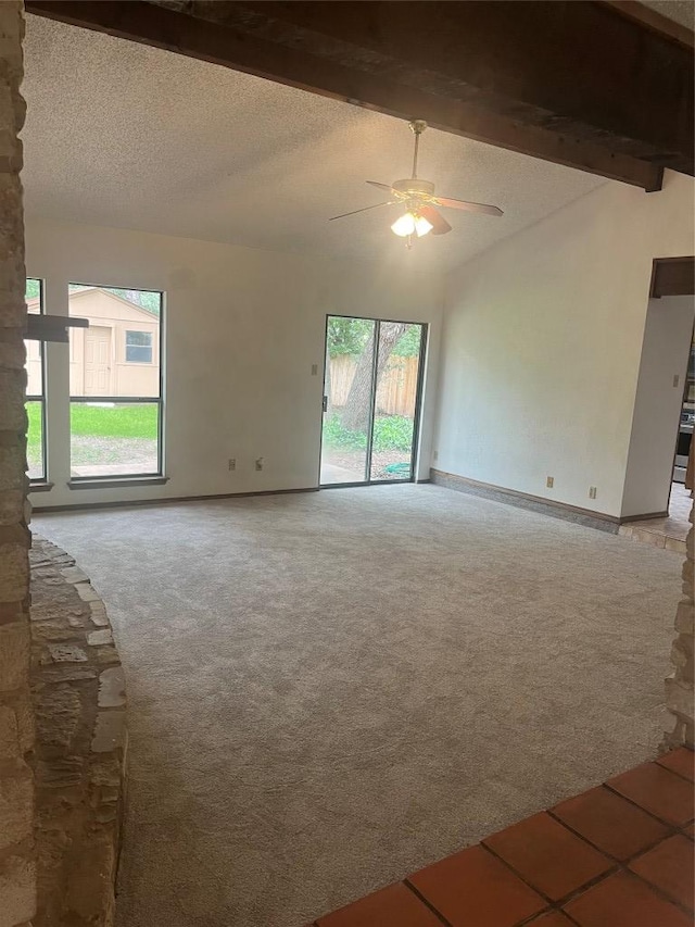 805 Timber Trl, Cedar Park, TX 78613 - photo 19
