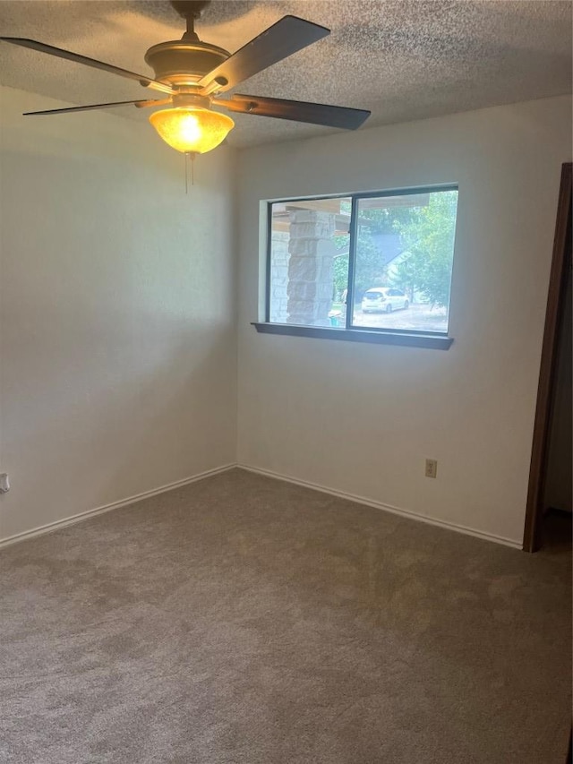 805 Timber Trl, Cedar Park, TX 78613 - photo 16