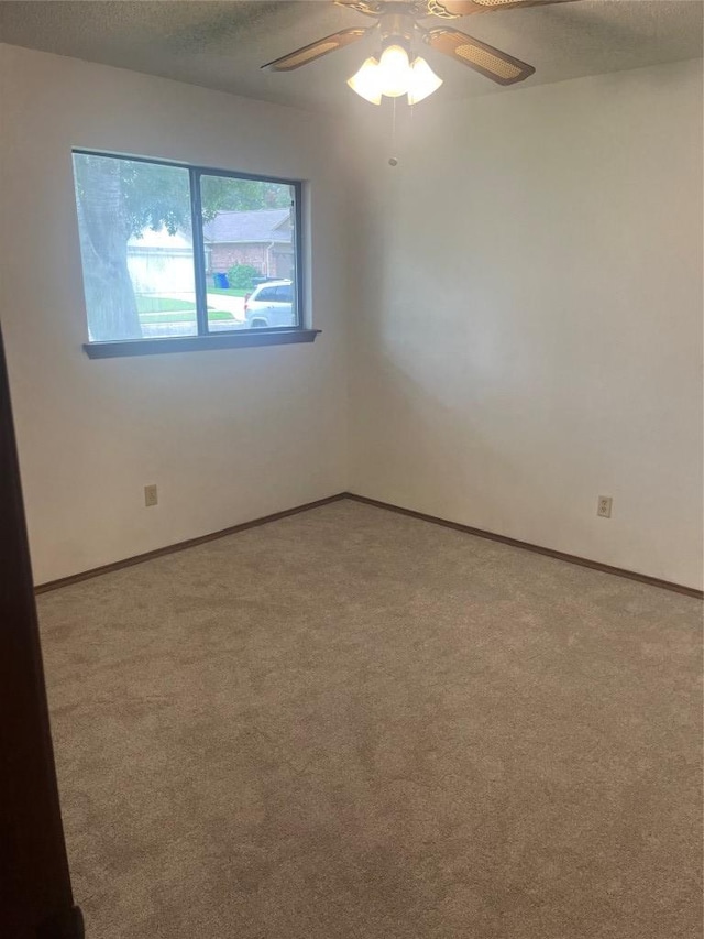 805 Timber Trl, Cedar Park, TX 78613 - photo 23