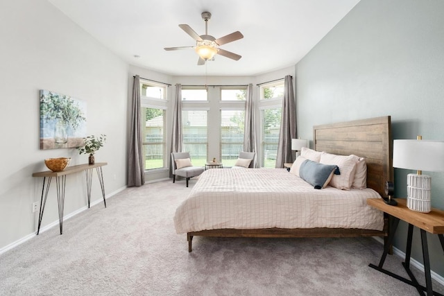 212 Blue Spruce Way, Round Rock, TX 78664 - photo 17