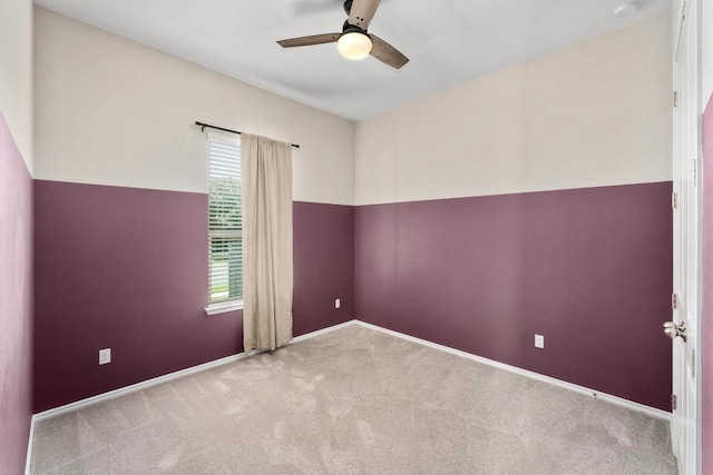 212 Blue Spruce Way, Round Rock, TX 78664 - photo 23
