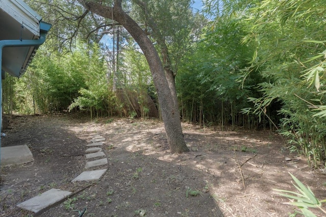 3301 Doolin Dr, Austin, TX 78704 - photo 25
