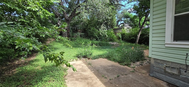 4408 Lareina Dr, Austin, TX 78745 - photo 4