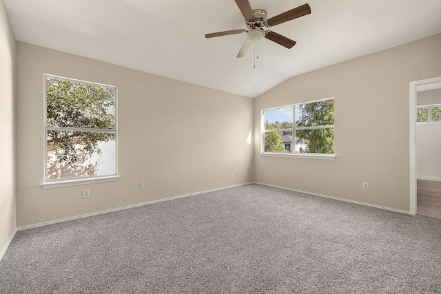 3600 Texas Topaz Dr, Austin, TX 78728 - photo 14