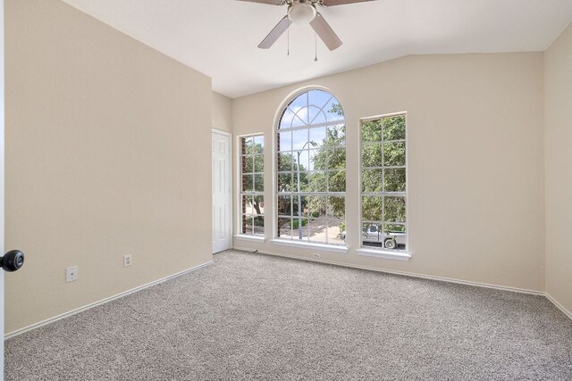 3600 Texas Topaz Dr, Austin, TX 78728 - photo 20